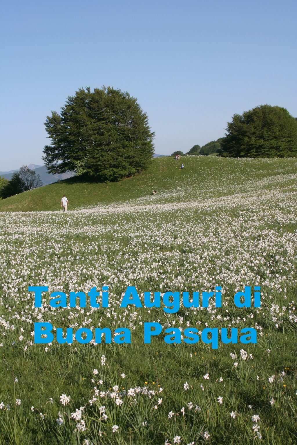 Pasqua 2026